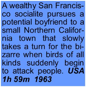 Birds.png